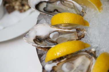 Detaylı makro. Üst manzaralı. Lezzetli taze kabuklu istiridyelerin soğuk buz kalıbının üzerinde limon dilimleri arasında duran görüntüsü.