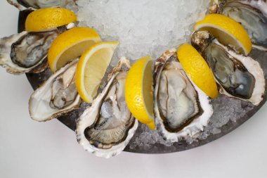 Detaylı makro. Üst manzaralı. Lezzetli taze kabuklu istiridyelerin soğuk buz kalıbının üzerinde limon dilimleri arasında duran görüntüsü.