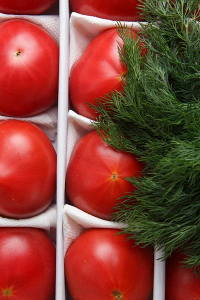 Close Detailed Top View Background Wallpaper Shot Bunch Green Dill — Stock Photo, Image