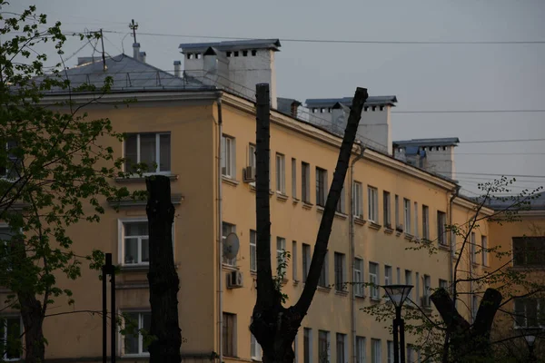Nagie Ścinane Pnie Drzew Odciętymi Gałęziami Budynkami Mieszkalnymi Tle Moskwa — Zdjęcie stockowe