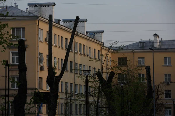 Nakna Beskurna Trädstammar Med Avskurna Grenar Med Bostadshus Bakgrunden Moskva — Stockfoto