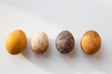 Beyaz bir zemin üzerinde doğal ürünler (kırmızı şarap, çay, kahve, havuç, zerdeçal, soya sosu) ile boyanmış tavuğa benzeyen dört sıra orijinal renkli ejderha veya dinozor.