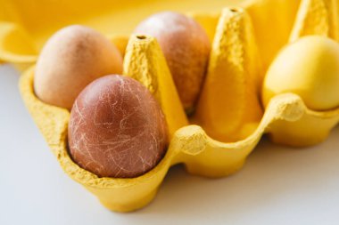 Orijinal, eşsiz renkli ejderha veya dinozora benzeyen, doğal ürünlerle boyanmış, tavuğa benzeyen bir sarı kutunun üst görüntüsü (kırmızı şarap, çay, kahve, havuç, zerdeçal, soya sosu)