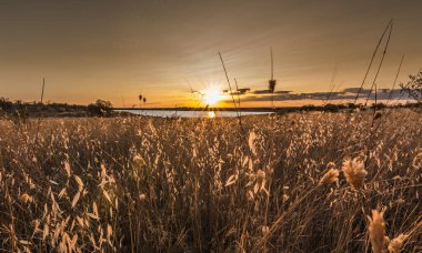 Yaz buğday tarlasında, bulutlu gökyüzü olan bir gölde gün batımı.