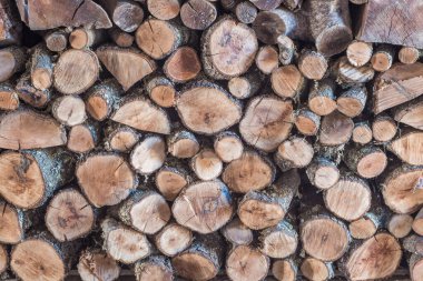 Yığılmış ahşap keresteli doğal organik doku. Ahşap arkaplan.