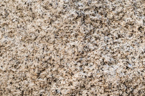 Texture Porous Stone Brown Tones — Stock Photo, Image