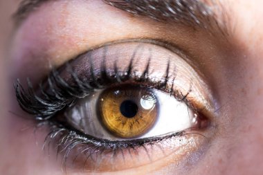 Genç bir kadının makyajlı kahverengi gözünün yakın çekimi..