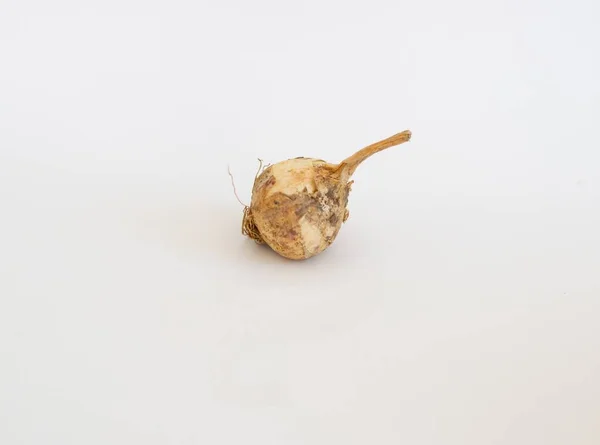 Garlic Bulb White Background Isolated — Stock Photo, Image