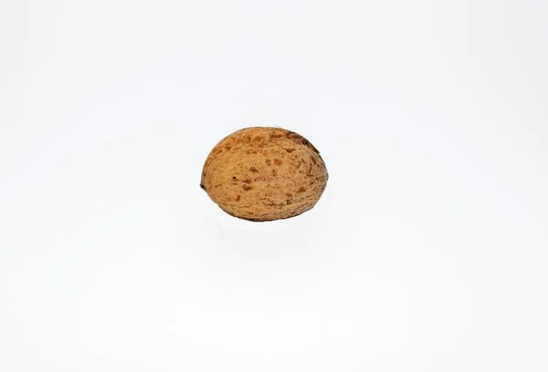 Walnut Isolated White Background — Stock Photo, Image