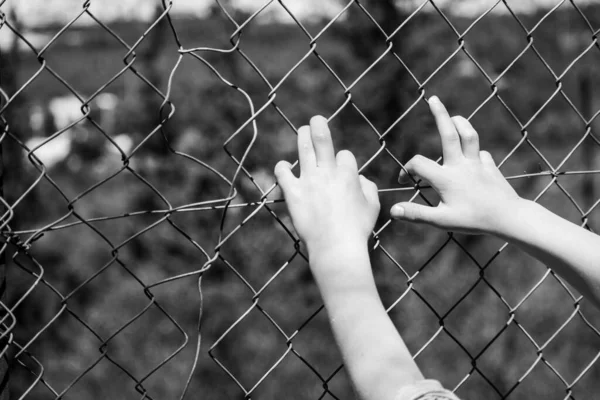 Imagen Blanco Negro Las Manos Niño Sosteniendo Una Malla Alambre —  Fotos de Stock