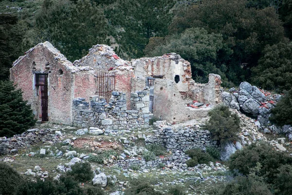 Ερείπια Από Ένα Παλιό Σπίτι Στη Μέση Ενός Δάσους — Φωτογραφία Αρχείου