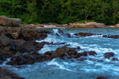 Ormanın yakınındaki deniz. Denizin ortasında deniz dalgaları olan birkaç kaya.