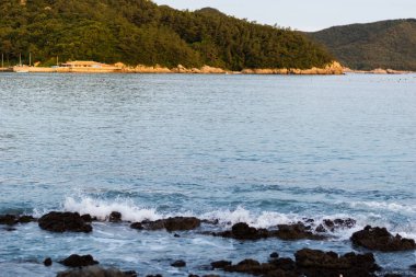 Dalgalar nasıl da geliyor Büyük ormanla birlikte Uzağa bakarak.