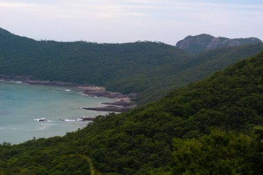 Tepenin tepesinden ormanın olduğu sahilin manzarası.
