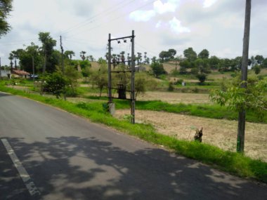 Pavagadh Champaner Gujarat Hindistan 'dan orman ve dağ