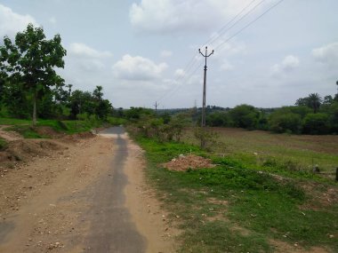 Pavagadh Champaner Gujarat Hindistan 'dan orman ve dağ