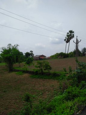 Orman tepeleri ve dağlar