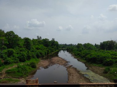 Yol ve orman tepeleri