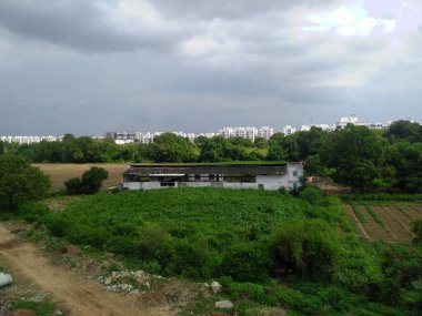 Orman tepeleri ve şehir