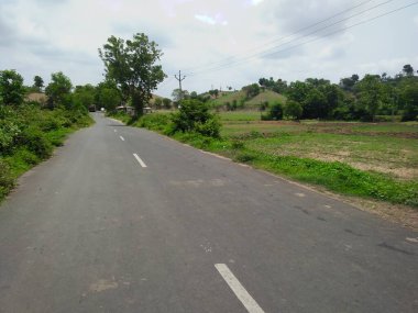 Vadodara Gujarat Hindistan 'dan yol ve jangle.