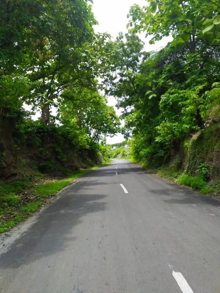 Yol Orman Tepeleri — Stok fotoğraf