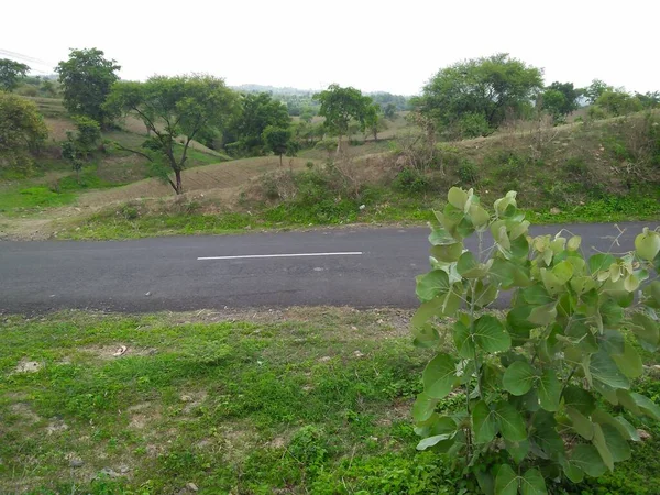 Jangle Och Berg Från Vadodara Gujarat Indien — Stockfoto