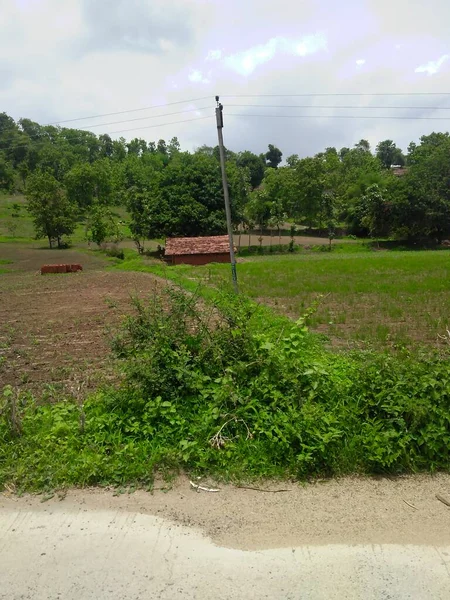 Colline Forestière Maison — Photo