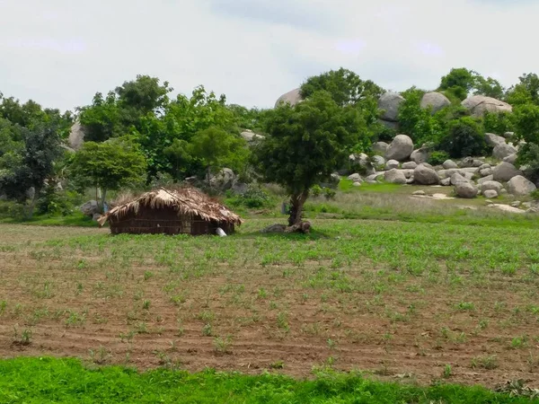 Colinas Florestais Aldeia Vadodara Gujarat Índia — Fotografia de Stock