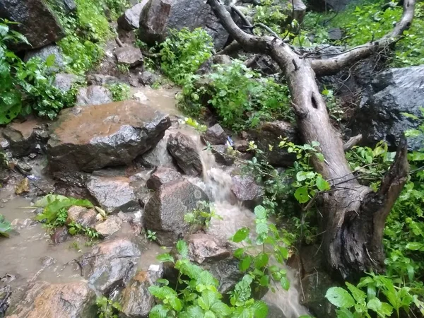 Waldhügel Und Fluss — Stockfoto