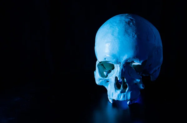 Detail of artificial human skull  on black background