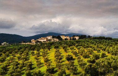 Artimino eski kasaba manzarası Tuscany İtalya 'da güzel yeşil tepeler ve zeytin ağaçları arasında