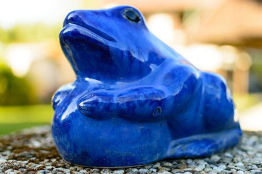 Pürüzsüz ve renkli geçmişi olan mavi çömlek kurbağası.