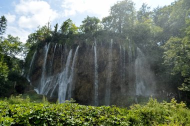 Hırvatistan 'ın Plitvice Ulusal Parkı' nda yemyeşil bitki örtüsü olan güzel şelale