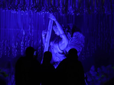 Ma saraswati stok fotoğrafı