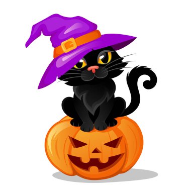 Cadılar Bayramı balkabağı üzerinde oturan bir cadı şapkalı Halloween siyah kedi