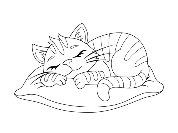 Lindo Gato Dormido Dibujos Animados Almohada Ilustración Vectorial Blanco Negro — Vector de stock