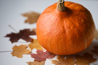 Hokkaido Balkabağı Kırmızı Sonbahar Akçaağaç Çerçeve Yaprakları Beyaz Arkaplanda