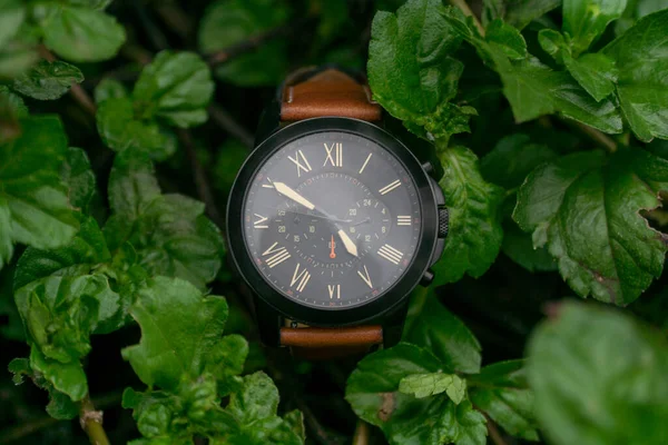 Zwart Horloge Met Bruine Leren Band Plant — Stockfoto