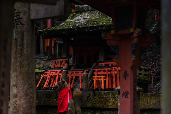 Fushimi Inari Santuario Rodeado Bosque Antiguo Cubierto Arcos Toori Marzo —  Fotos de Stock