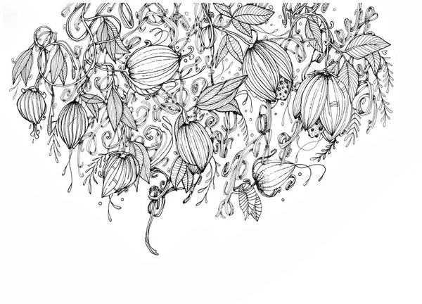 Mürekkep fantezi illüstrasyon çeşit bitki ve çiçek üzerinde
