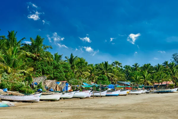 Palmiyeleri ve tekneleri olan güzel bir sahil. Goa, Hindistan