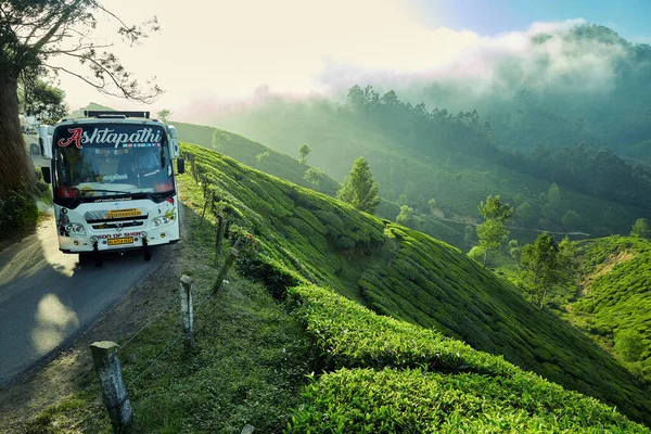 Plantacja herbaty i autobus z turystami w Munnar, Kerala, Indie — Zdjęcie stockowe