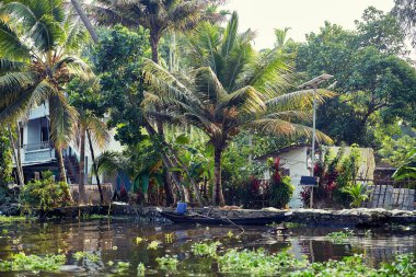 Kerala 'nın arka suları. Tekne gezisi