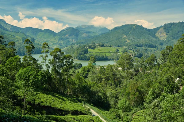 Krajobraz Munnar, Kerala, Indie. grudzień 2019 — Zdjęcie stockowe