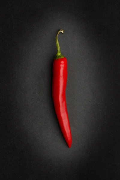 Único Chili Vermelho Fundo Ardósia Escuro Ingrediente Picante Ideal Alimentos — Fotografia de Stock