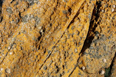 Turuncu desenli deniz kenarındaki kaya dokusu görüntüsünü kapat.