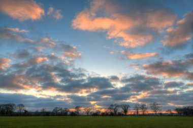 Güneş tarım arazisindeki ağaçların arkasında batarken güzel kabarık bulutlar