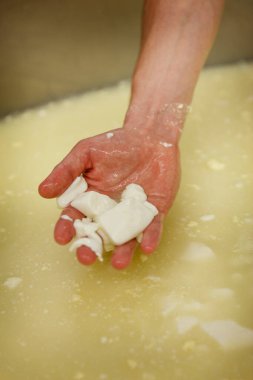 Peynir yapma süreci kremayı Whey No 'dan ayırır. 2