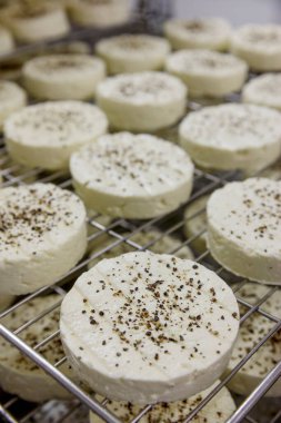 Bir numaralı yumuşak peynirin üretimi.