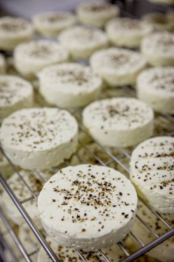 9 numaralı yumuşak peynirin üretimi.